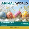 Emerald Animal World: Eatser at the Zoo